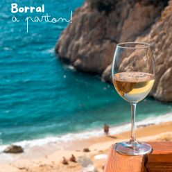 "Borral a parton!" borcsomag