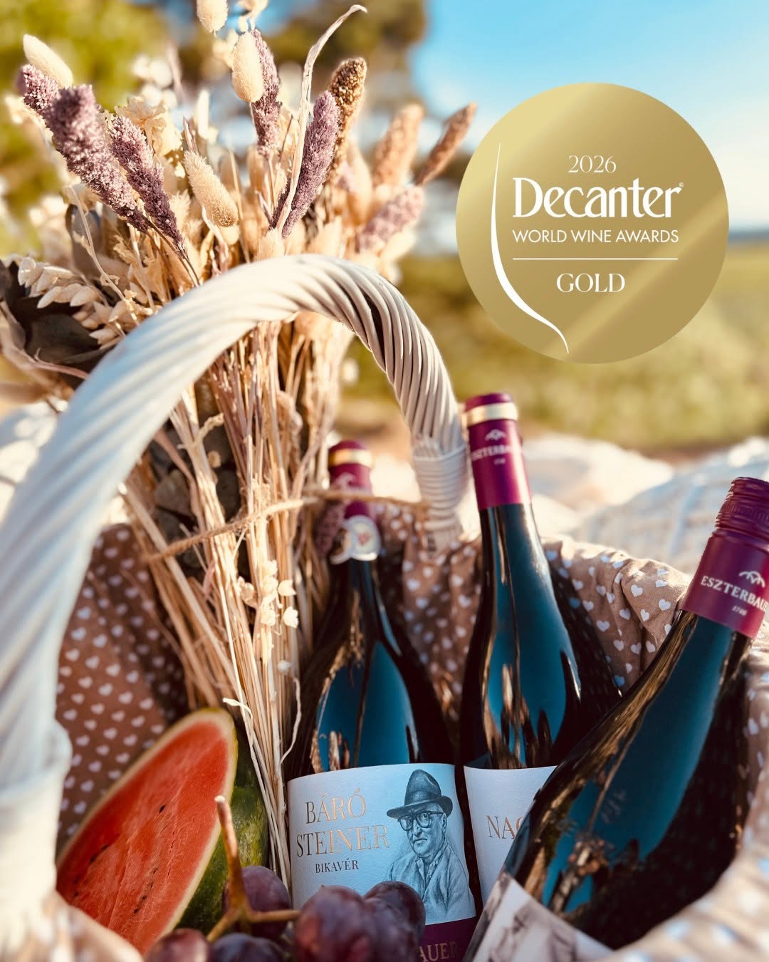 Báró Steiner Bikavér - 96 pontos Eszterbauer bor a Decanteren!